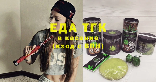 индика Сатка